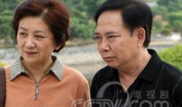 2007年热播电视剧,2007年热播剧经典回顾