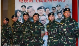 我是特种兵2电视剧,铁血铸魂，再战沙场